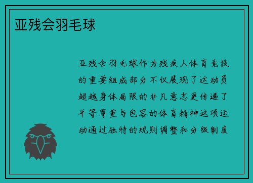 亚残会羽毛球
